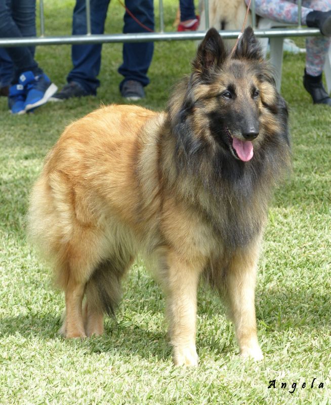 Mara Jade del Clamiu EX2 abierta hemrbas (10.2) (1)